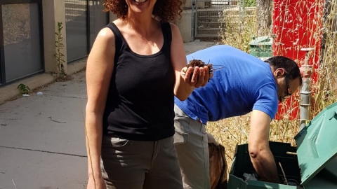 ועדה לבנין ערים (4).jpg